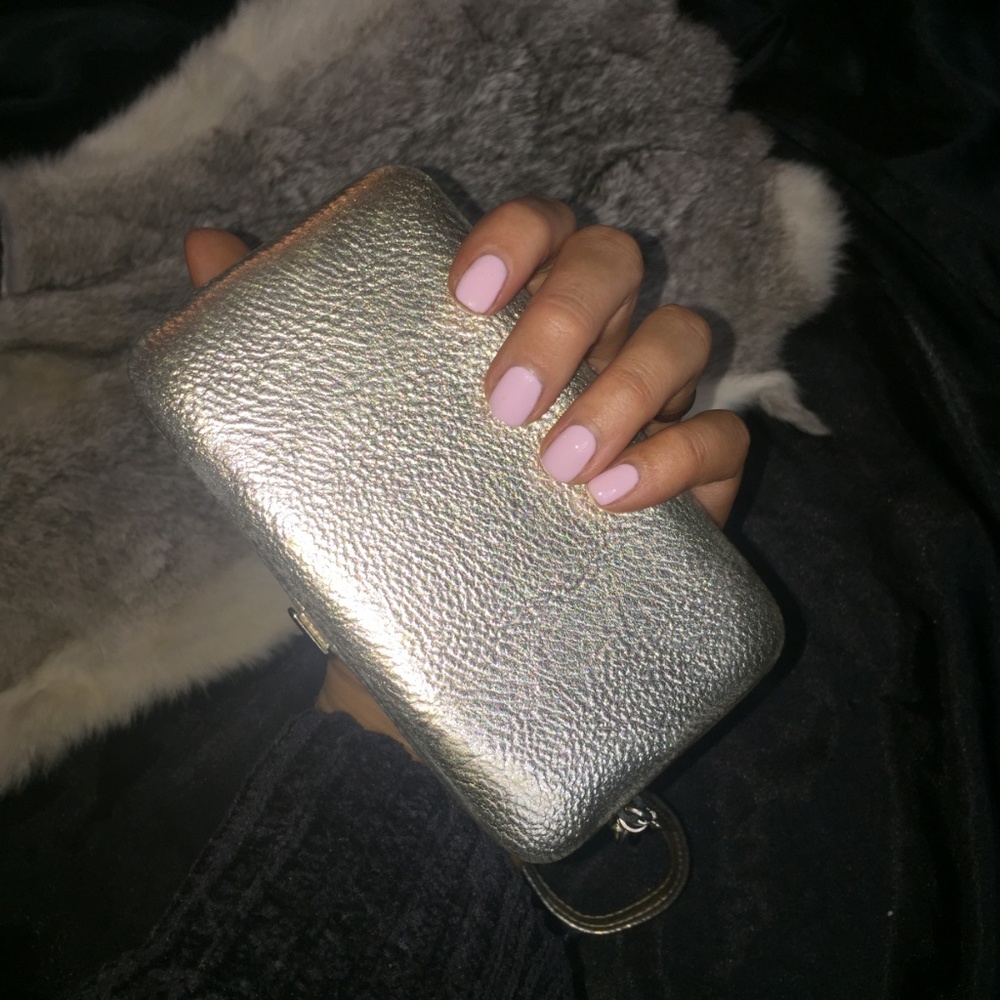 Clutch/ Wristlet